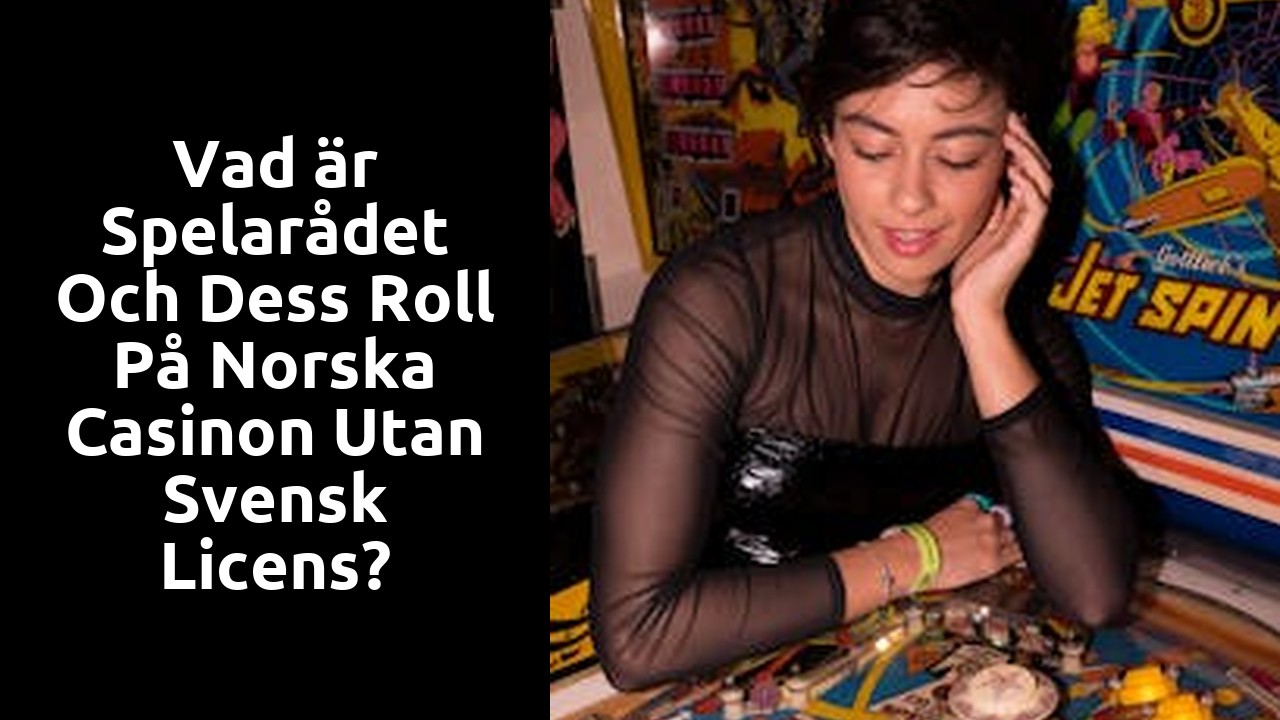 Vad är Spelarådet och dess roll på norska casinon utan svensk licens?